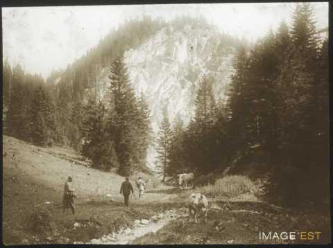 Chemin de montagne (Val-de-Travers)